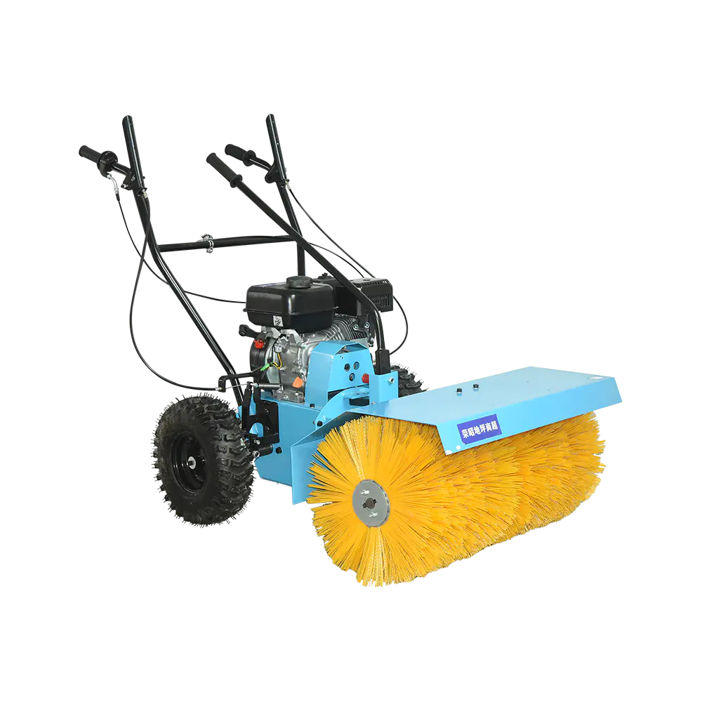 เป่าหิมะในประเทศ